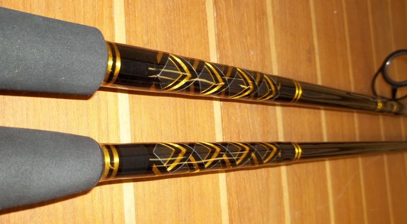 Spinning Rods - Black Hook Series Rods